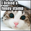 post-760-1202947921_thumb.gif