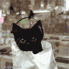 post-760-1204325062_thumb.gif