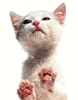post-760-1206665412_thumb.gif