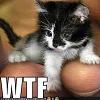 post-760-1214957357_thumb.jpg
