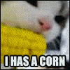 post-760-1217394750_thumb.gif