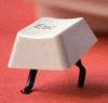 post-760-1217984798_thumb.gif