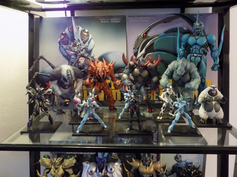 Guyver Shelf 002.jpg