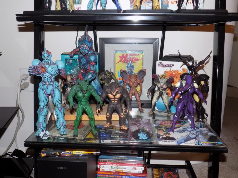 Guyver Shelf 004.jpg